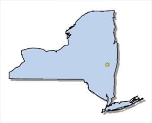 State of New York image