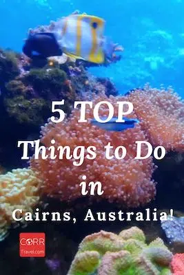 5 Things to Do in Cairns Australia