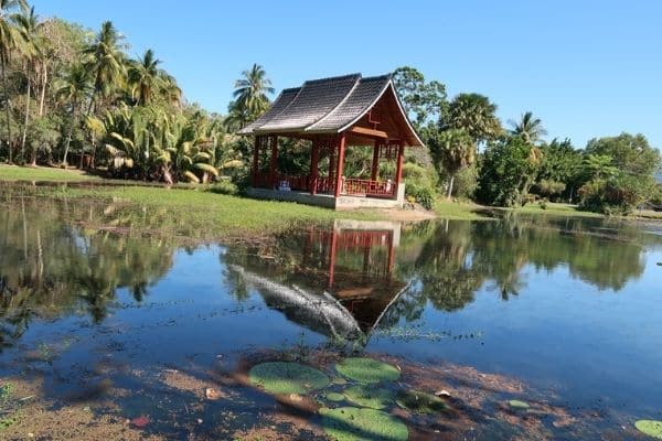 Japanese pagoda Cairns Botanical Gardens Australia