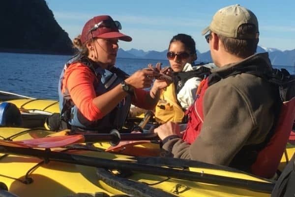 Wildlife instruction for kayakers on water Alaska