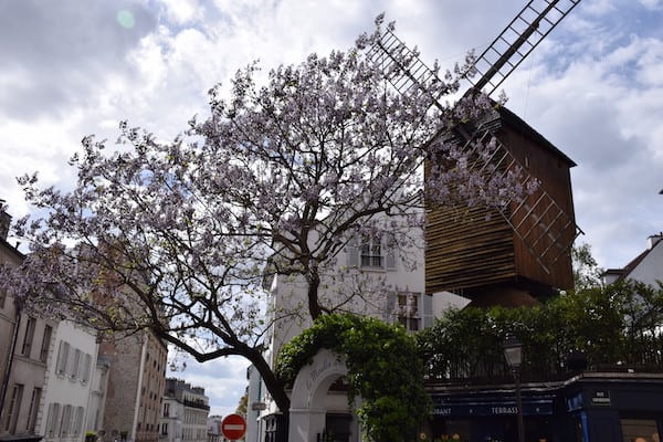 Windmill and cherry tree Paris France