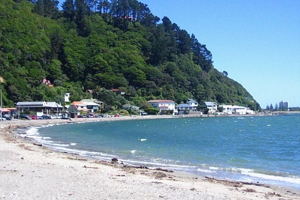 Beach Wellington New Zealand