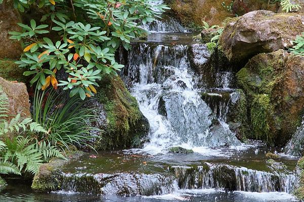 Japanese Tea Garden waterfall Portland Oregon