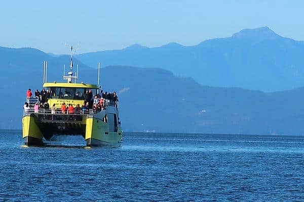 Whale watching boat on water_Vancouver BC Canada
