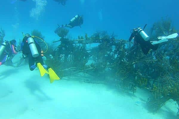 James Bond Dive site Nassau Bahamas