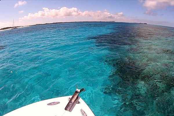 Snorkeling off boat Green Cay Bahamas