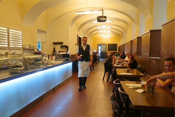 Waiter in Lokal restaurant Prague