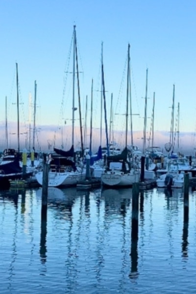 Sailboats on water Tiburon California
