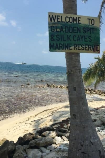 Gladden Spit Silk Cayes Reserve Belize